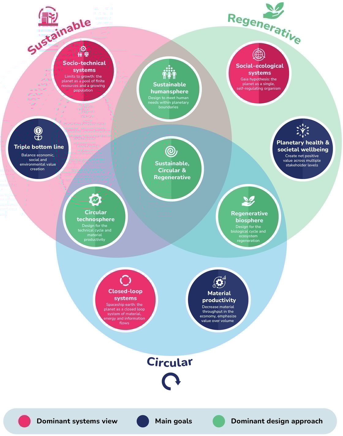 regenerative business vs sustainable and circular businesses