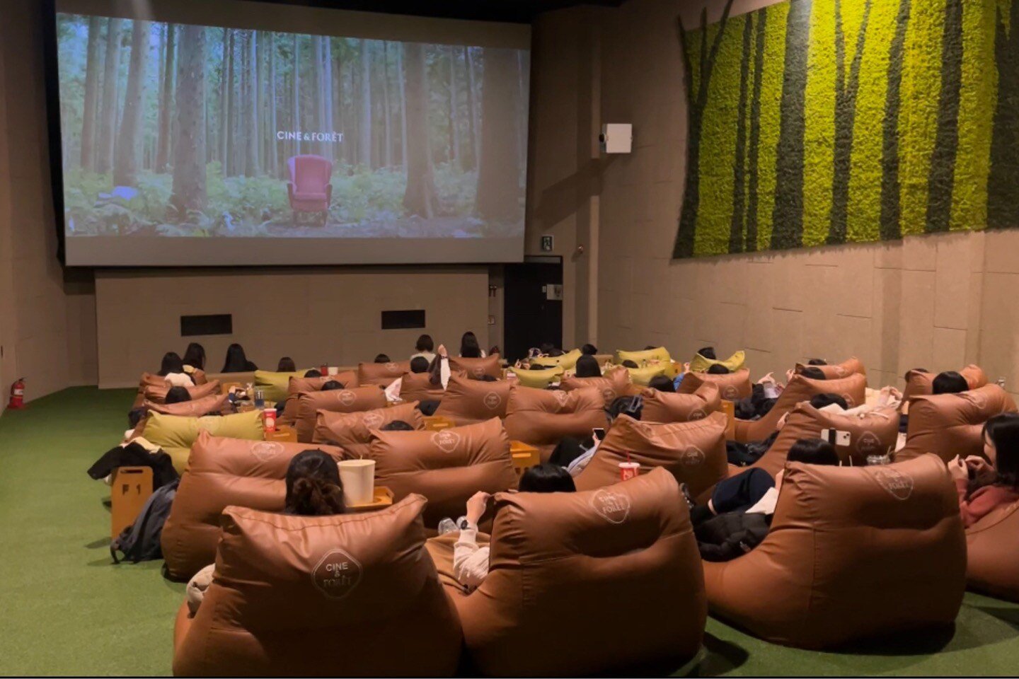 People knitting in a movie theater 