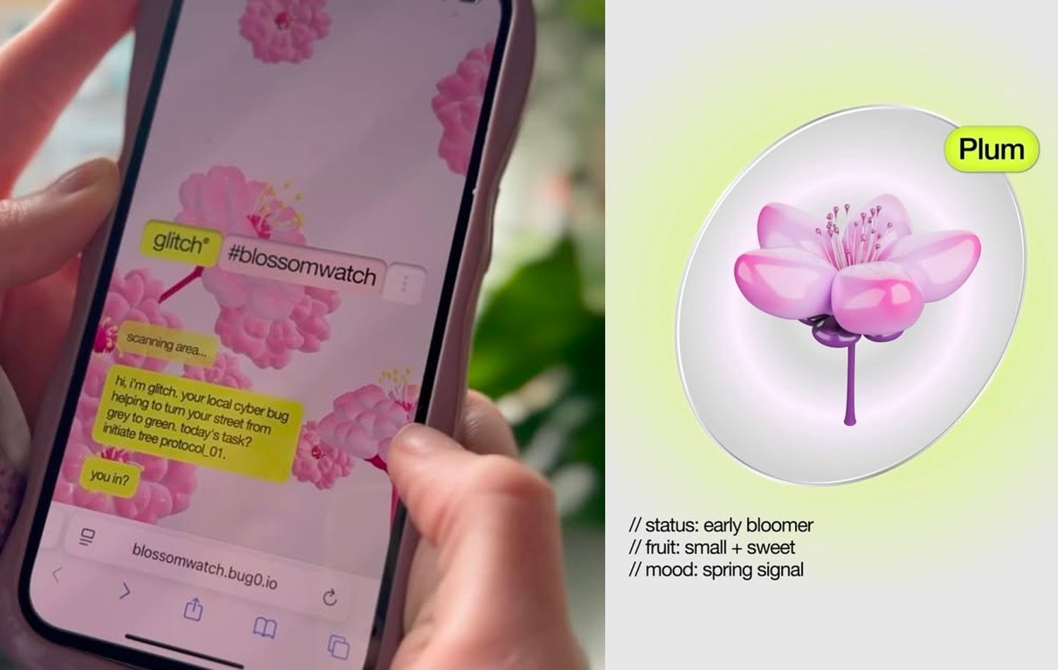 The Glitch app on a phone screen, plus information about plum trees 