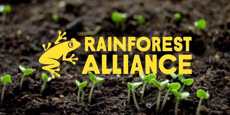 Rainforest Alliance Preview