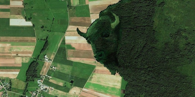 zubr-national-park